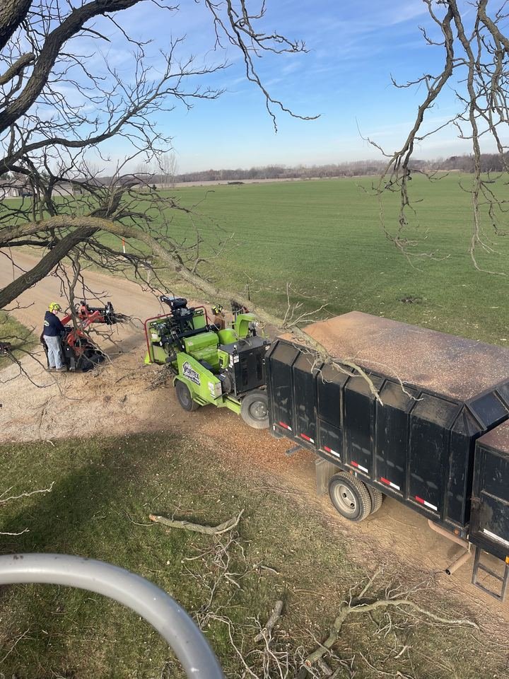 Crew chipping branches into dump truck