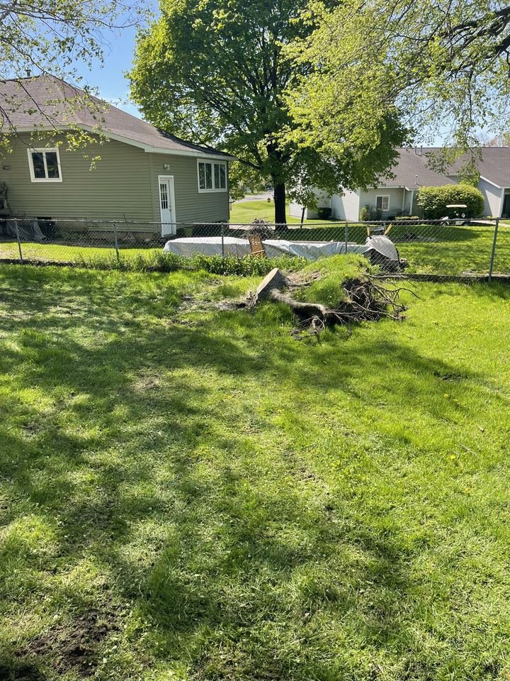 Backyard after tree removal and cleanup, Lansing MI