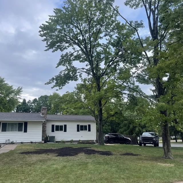 Same yard after removal with soil leveled where the trees stood