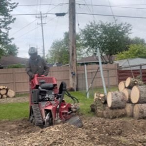 Stump grinder cutting out a backyard stump, Lansing MI