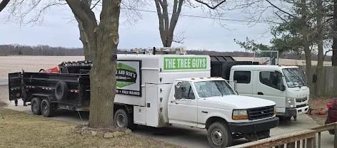 Father and Son's Tree Service trucks and dump trailer ready for a job