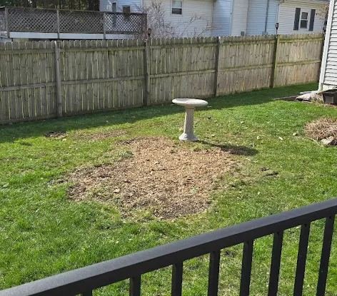 Backyard stump ground below grade, chips leveled, Lansing MI
